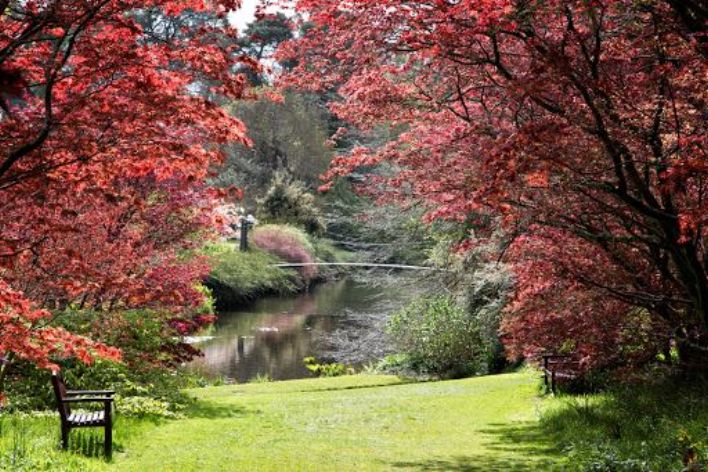 Los mejores lugares para ver las hojas de otoño en Irlanda - Rings from